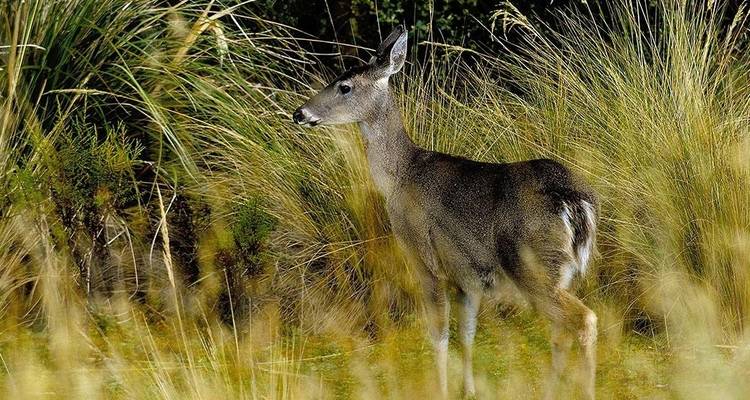 Natural Ecuador Adventure 7D/6N - Bamba Travel 8