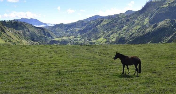 Natural Ecuador Adventure 7D/6N - Bamba Travel 1