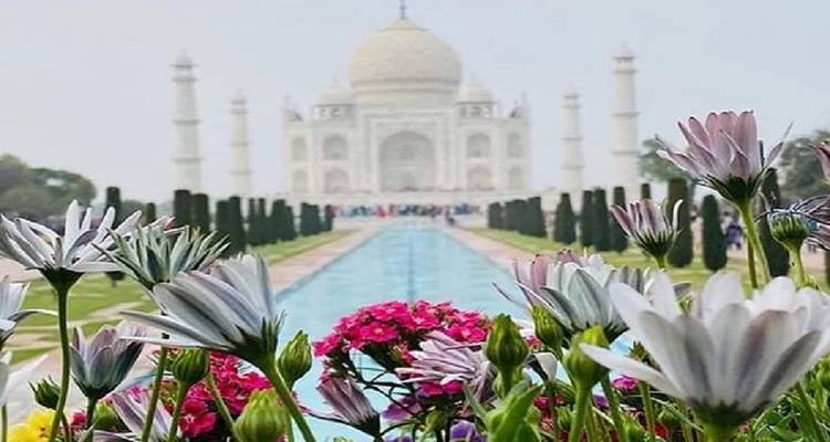 Visite privée du Taj Mahal et d'Agra au départ de Delhi - tout compris - Aalin Tours 2