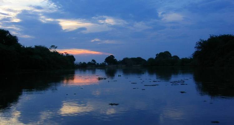 4 Days North Pantanal - Unearthing exotic treasures in the Pantanal wetlands - New*** - Signature DMC 3
