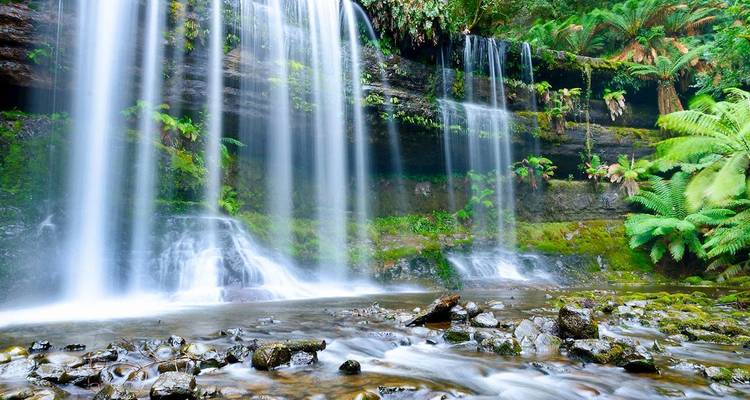 Foto de larga exposición de una cascada tipo cortina cayendo a través de una exuberante selva tropical verde.