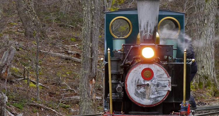 A steam train in a forested area, puffing smoke.