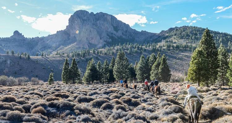 Jinetes atravesando un paisaje montañoso con pinos.