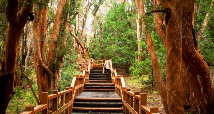5-Day Nahual Huapi Lake Adventure Tour From Bariloche - Tangol Tours 6