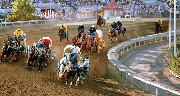 Una emocionante carrera de carreta con equipos de caballos levantando polvo alrededor de una tribuna llena durante el Calgary Stampede.