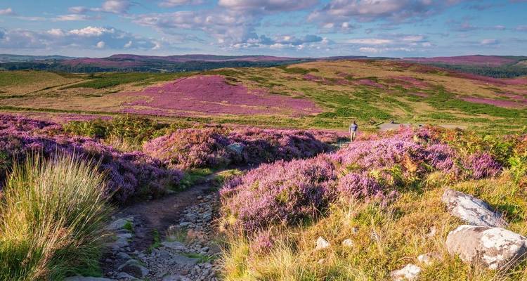 Marcher dans le Northumberland - Explore! 6