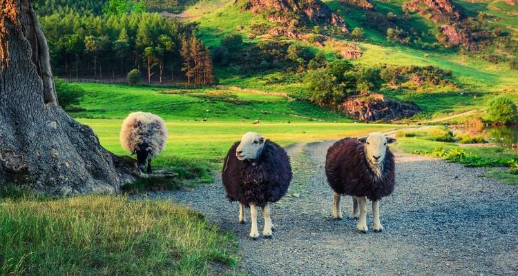 Walk the Lake District - Explore! 3