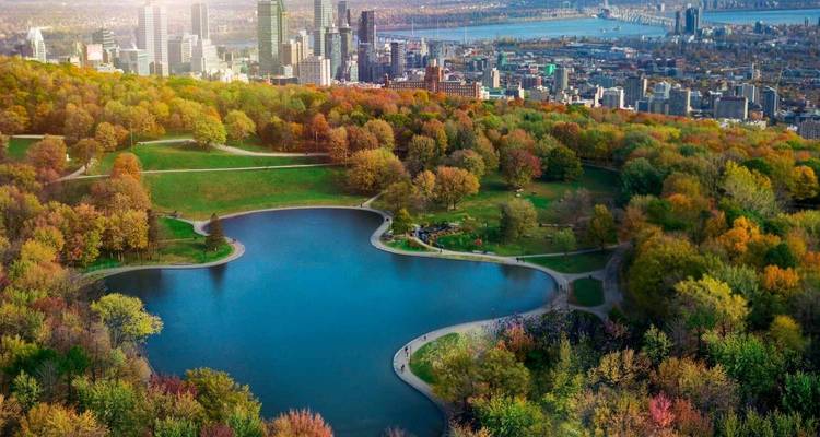Stadsgezicht met park in herfstkleuren en groot wateroppervlak.