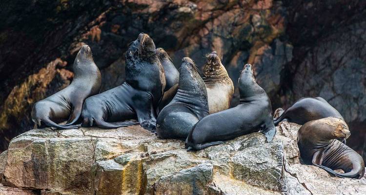 3 days -Lima – Paracas – Nazca - PVTravels 6