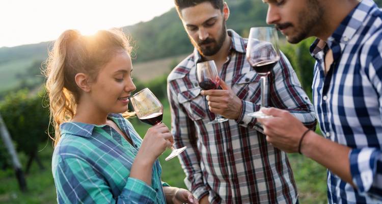 Trois personnes dégustant du vin dans un vignoble.
