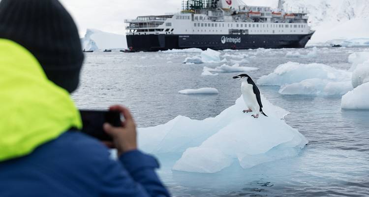 WWF Gigantes de la Antártida - Ocean Endeavour - Intrepid Travel 2