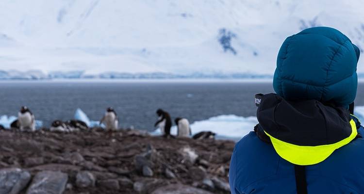 WWF Gigantes de la Antártida - Ocean Endeavour - Intrepid Travel 3