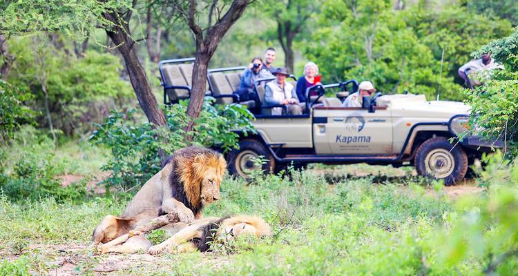 Voyages sur mesure en Afrique du Sud, départs quotidiens et voyages privés - Agate Travel 6