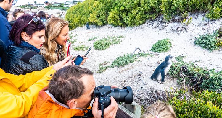 Voyages sur mesure en Afrique du Sud, départs quotidiens et voyages privés - Agate Travel 9