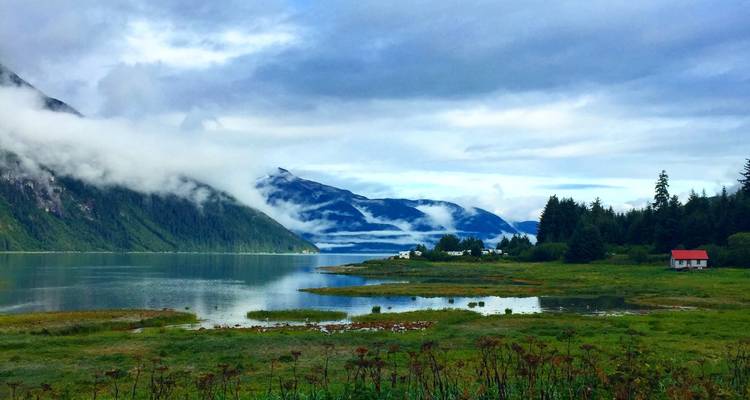 Nebelige Fjordlandschaft mit ruhigem Wasser, tiefen Wolken und bewaldeten Bergen.