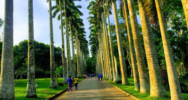 Tour de l'histoire et de la nature - Pro Tour Africa 6