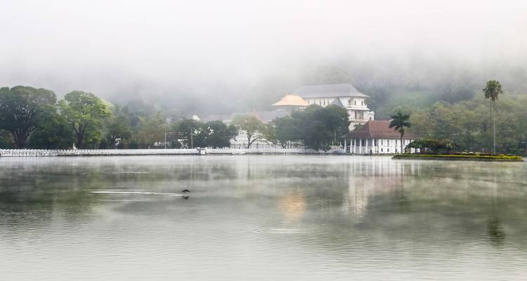 Itinéraire de 5 jours au Sri Lanka - Holiday Lanka Tours 7