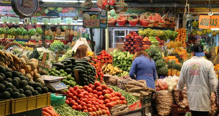 PRIVADO 10 Días Lo más destacado de Colombia y el Eje Cafetero - Signature DMC 2
