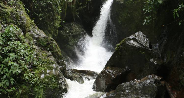 PRIVADO 10 Días Lo más destacado de Colombia y el Eje Cafetero - Signature DMC 9