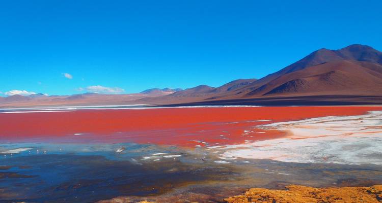 Desierto, Sal y Colores: Explorando el Altiplano Boliviano - 5 días - Receptivo Aborigen Tours 7