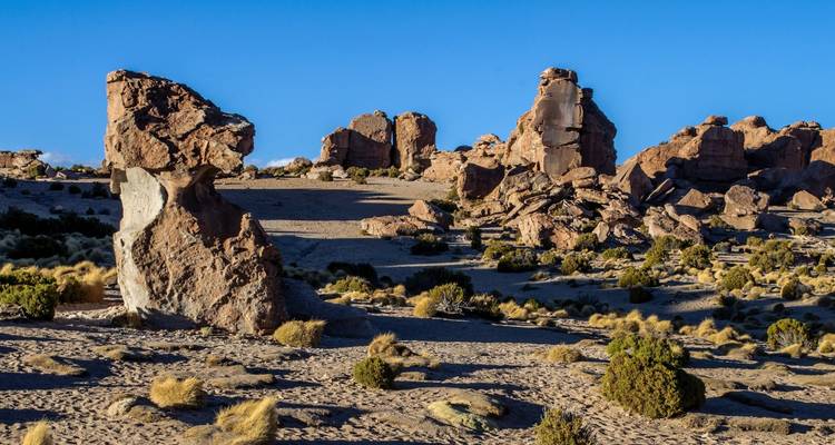 Desierto, Sal y Colores: Explorando el Altiplano Boliviano - 5 días - Receptivo Aborigen Tours 8