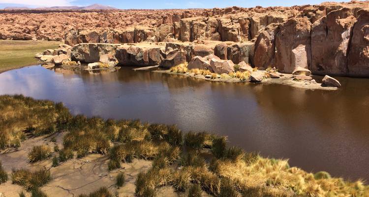 Desierto, Sal y Colores: Explorando el Altiplano Boliviano - 5 días - Receptivo Aborigen Tours 10
