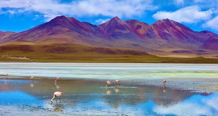 Bolivia: Uyuni - 5 días - Receptivo Aborigen Tours 7