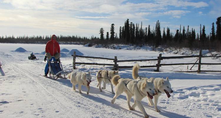 Arctic Road Trip – Ice Road to Tuktoyaktuk - Ruby Range Adventure 8