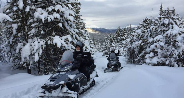 Zwei Personen fahren im Winter mit Schneemobilen durch einen Wald.