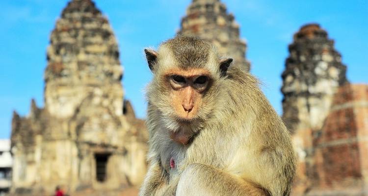 North Isaan and the Mekong, Private Tour - Destination Services Thailand 2