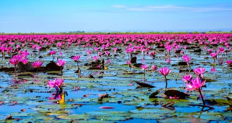 North Isaan and the Mekong, Private Tour - Destination Services Thailand 3