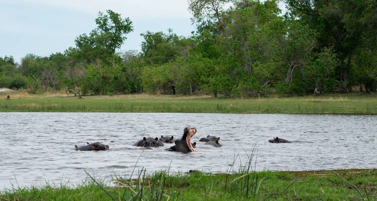 Okavango & Chobe Trail - Classic Tour (camping & accommodated) 2025 - Nomad Africa Adventure Tours 1