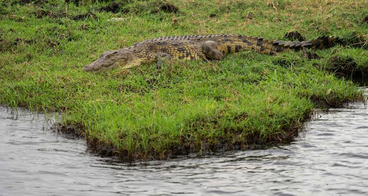 Okavango & Chobe Trail - Classic Tour (camping & accommodated) 2025 - Nomad Africa Adventure Tours 3
