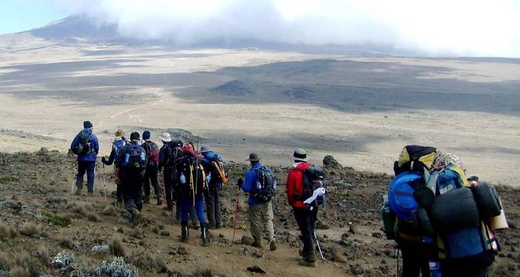 8 Días Ruta Lemosho | Escalada al Kilimanjaro - Migration Venture Africa  4