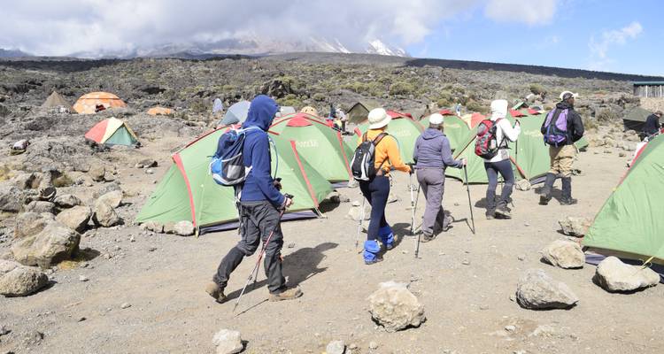 8 Días Ruta Lemosho | Escalada al Kilimanjaro - Migration Venture Africa  6
