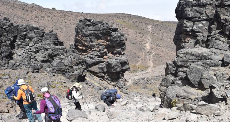 8 Días Ruta Lemosho | Escalada al Kilimanjaro - Migration Venture Africa  1