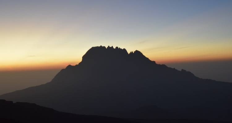 8 Días Ruta Lemosho | Escalada al Kilimanjaro - Migration Venture Africa  10
