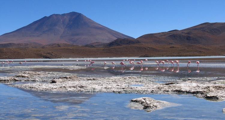 Discover Bolivia, the Andine world - 8 days - Receptivo Aborigen Tours 1