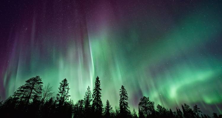 TRONDEK KLONDIKE Expérience hivernale Dawson City - Whitehorse - Ruby Range Adventure 1