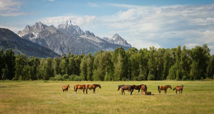 American Parks Trail (Classic, End Rapid City) - Insight Vacations 4