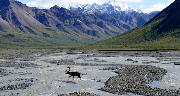 Joyas de Alaska - Avance 2022, 7 días - Insight Vacations 8