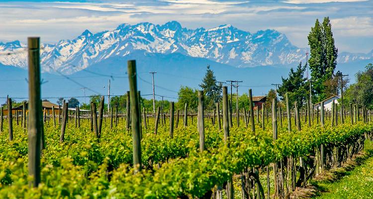 Tailor-Made Best Chile Family Tour, Private Guide & Driver - Agate Travel 9