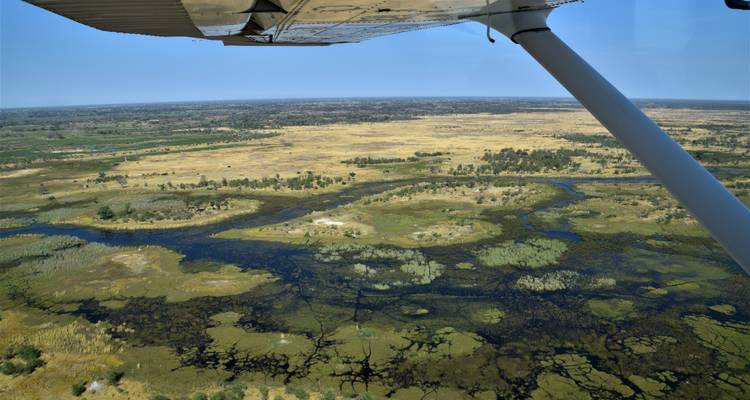 Safari du Cap au Delta (prix du billet d'avion du Cap à Johannesburg) - Contiki 4