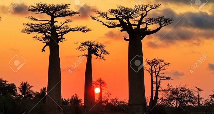 Un gran bucle para descubrir Madagascar de otra manera - Sifaka Voyages 4