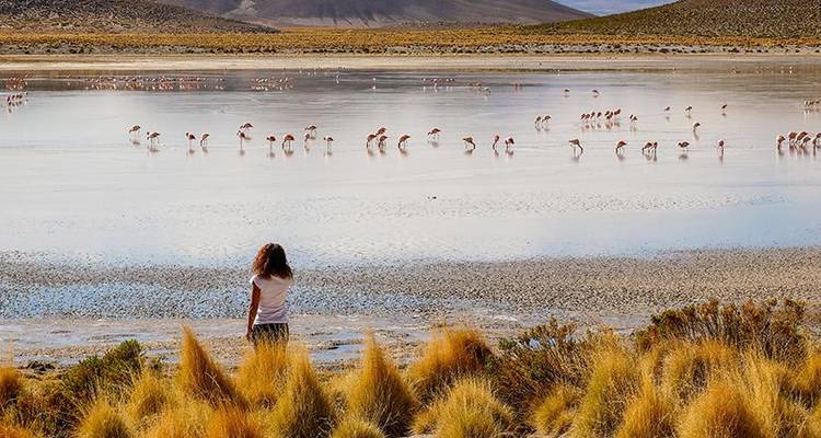 Uyuni Salt Flats & Desert Adventure 5D/4N (La Paz to La Paz) - Bamba Travel 4