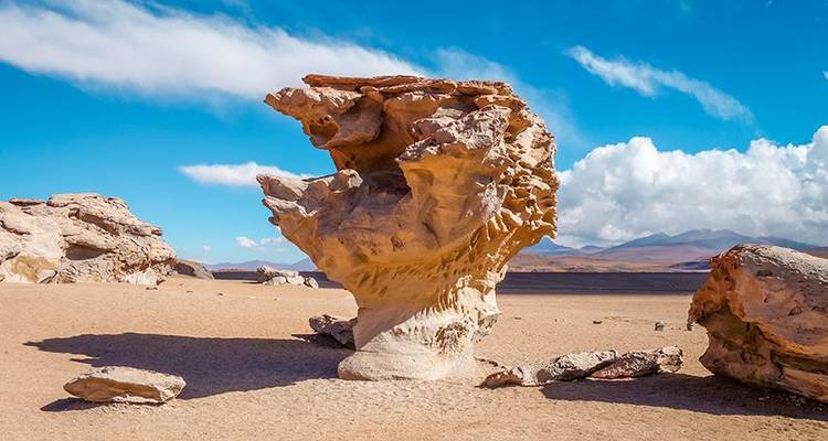 Uyuni Salt Flats & Desert Adventure 5D/4N (La Paz to La Paz) - Bamba Travel 6