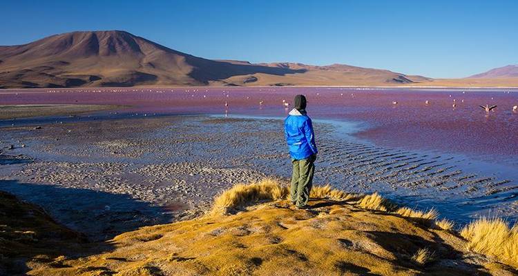 Aventure dans le désert et les salines d'Uyuni 5J/4N - de La Paz à La Paz - Bamba Travel 10