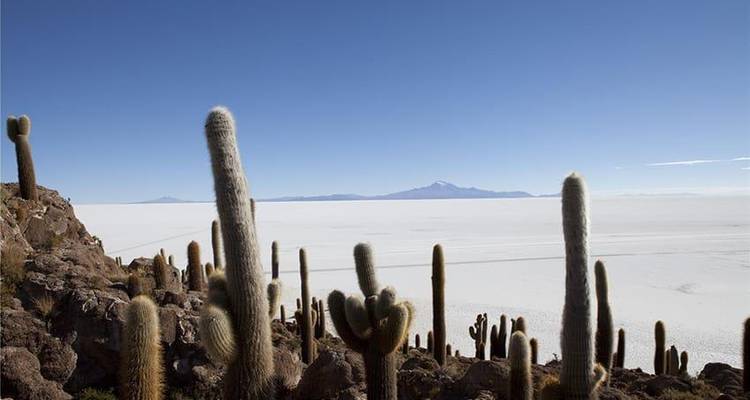 Aventure dans le désert et les salines d'Uyuni 4J/3N - de La Paz à Atacama - Bamba Travel 8