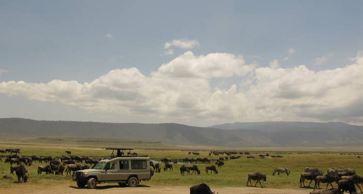 4 - días, 3 - noches Flying safaris Masai Mara Luxury Governors Camp - High End - Gracepatt Ecotours Kenya 6