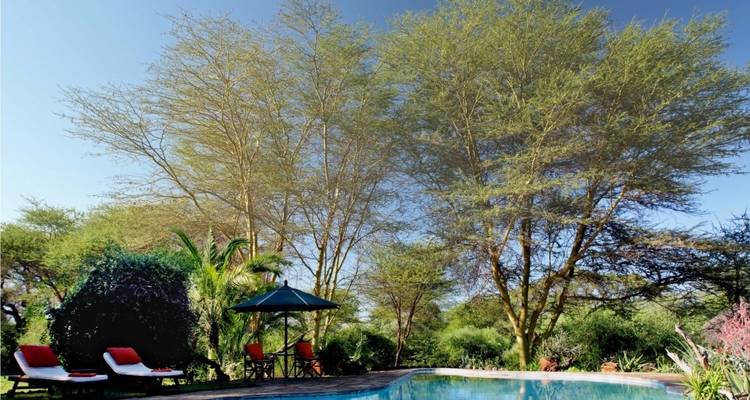 Een rustig zwembadgedeelte omgeven door weelderig groen en hoge bomen.